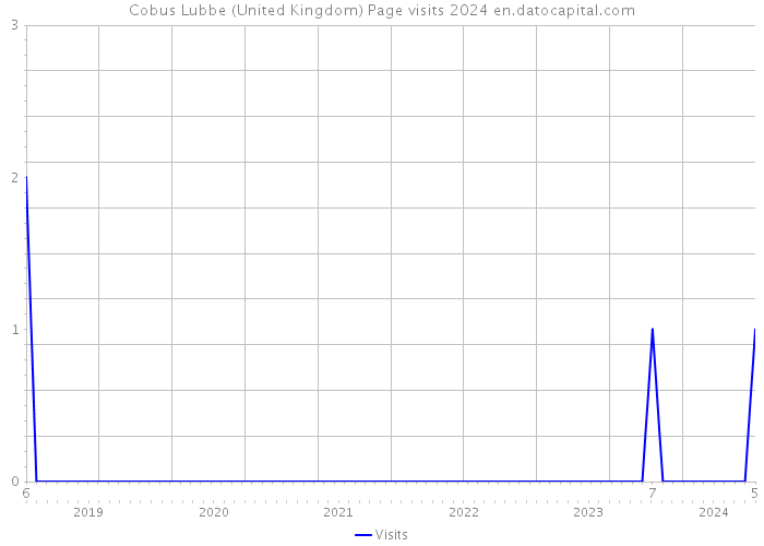 Cobus Lubbe (United Kingdom) Page visits 2024 