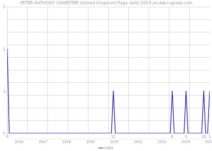 PETER ANTHONY GAMESTER (United Kingdom) Page visits 2024 