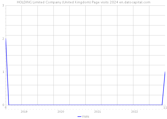 HOLDING Limited Company (United Kingdom) Page visits 2024 