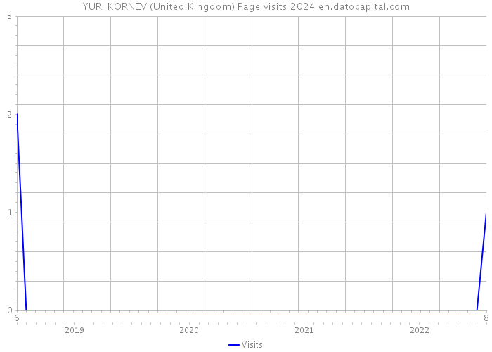 YURI KORNEV (United Kingdom) Page visits 2024 