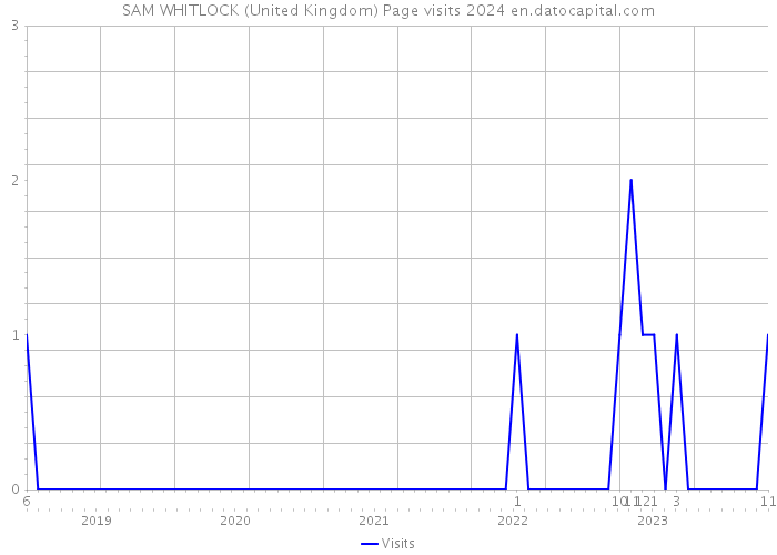 SAM WHITLOCK (United Kingdom) Page visits 2024 