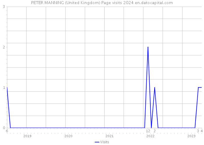 PETER MANNING (United Kingdom) Page visits 2024 
