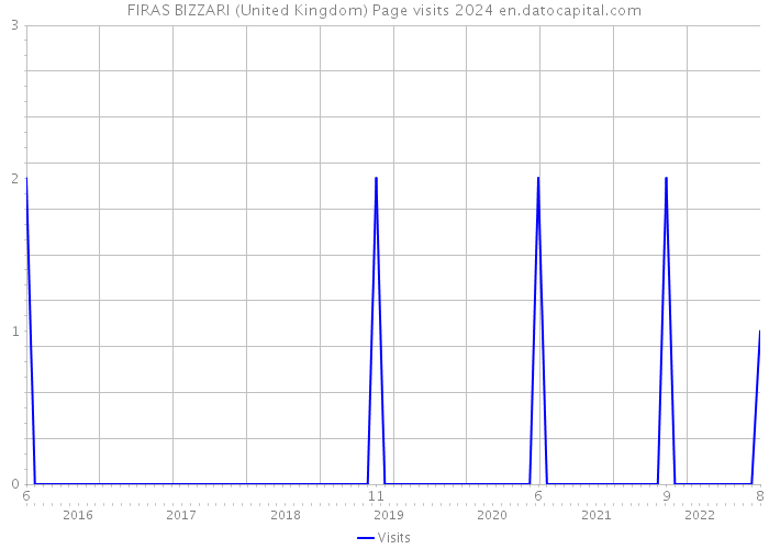 FIRAS BIZZARI (United Kingdom) Page visits 2024 