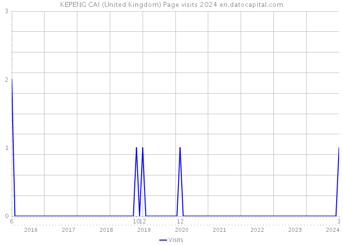 KEPENG CAI (United Kingdom) Page visits 2024 