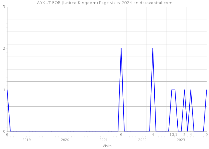 AYKUT BOR (United Kingdom) Page visits 2024 