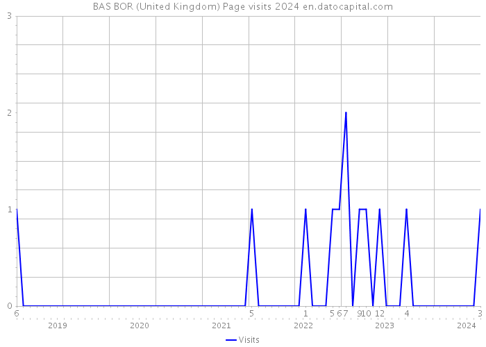 BAS BOR (United Kingdom) Page visits 2024 