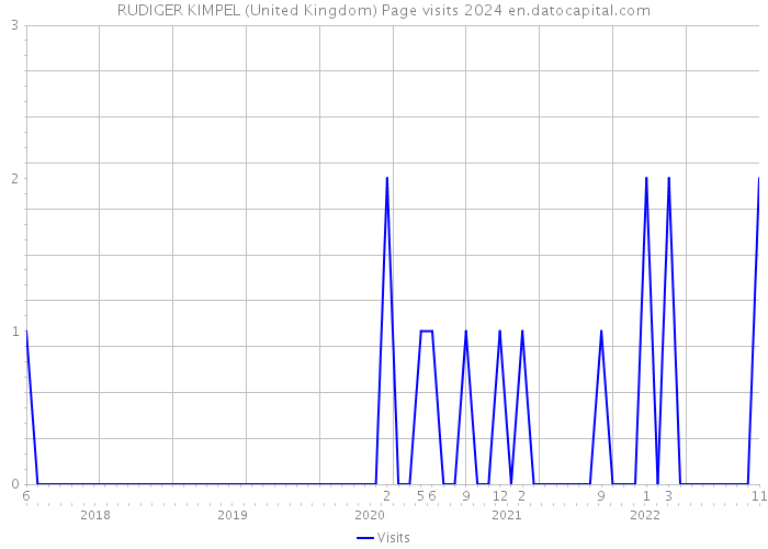 RUDIGER KIMPEL (United Kingdom) Page visits 2024 