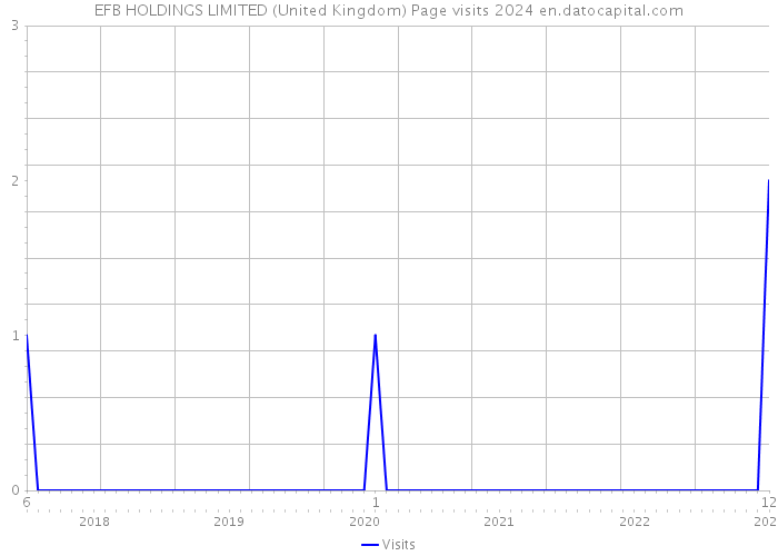 EFB HOLDINGS LIMITED (United Kingdom) Page visits 2024 