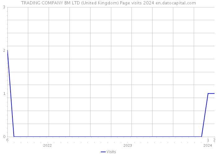 TRADING COMPANY BM LTD (United Kingdom) Page visits 2024 