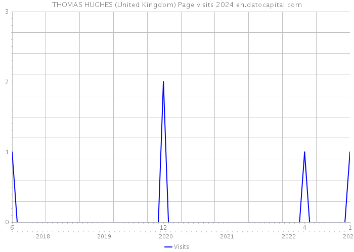 THOMAS HUGHES (United Kingdom) Page visits 2024 