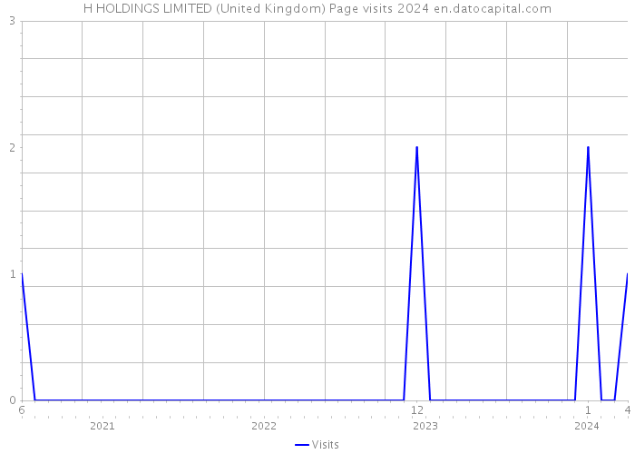 H HOLDINGS LIMITED (United Kingdom) Page visits 2024 
