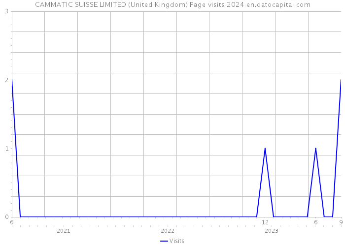 CAMMATIC SUISSE LIMITED (United Kingdom) Page visits 2024 