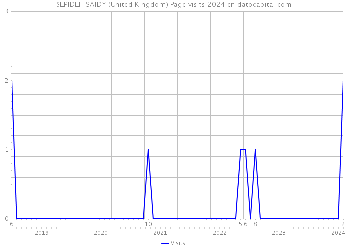 SEPIDEH SAIDY (United Kingdom) Page visits 2024 