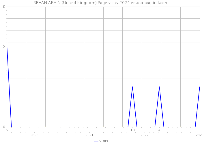 REHAN ARAIN (United Kingdom) Page visits 2024 