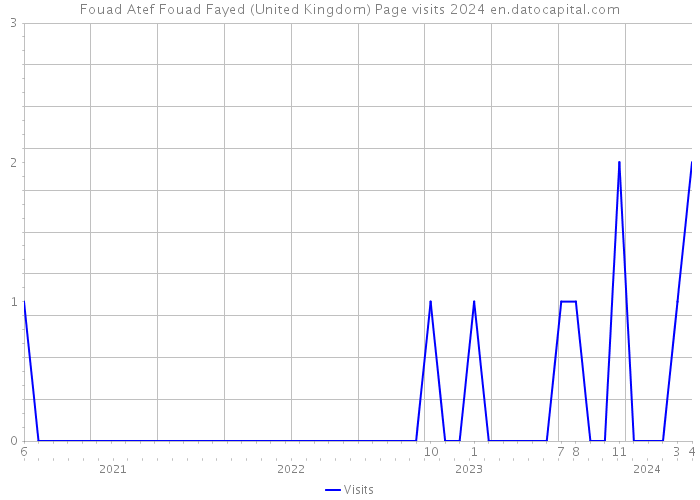 Fouad Atef Fouad Fayed (United Kingdom) Page visits 2024 