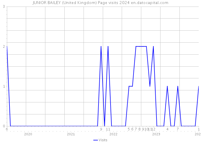 JUNIOR BAILEY (United Kingdom) Page visits 2024 