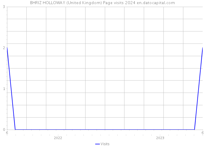 BHRIZ HOLLOWAY (United Kingdom) Page visits 2024 
