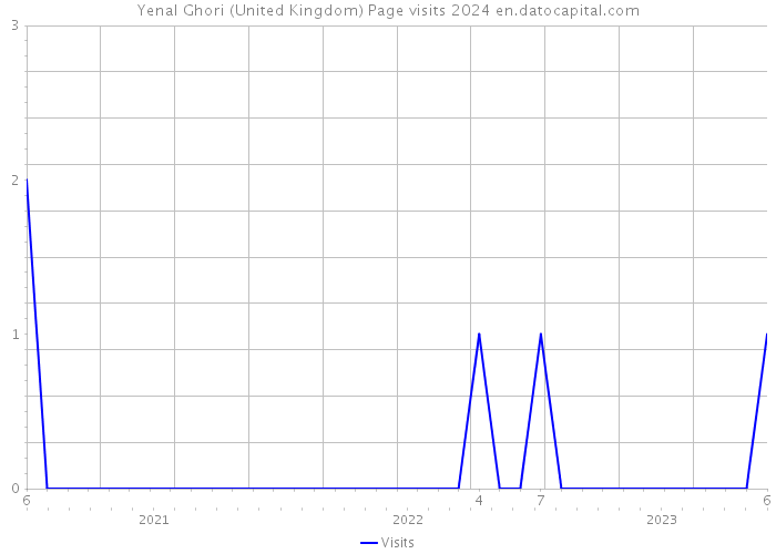 Yenal Ghori (United Kingdom) Page visits 2024 