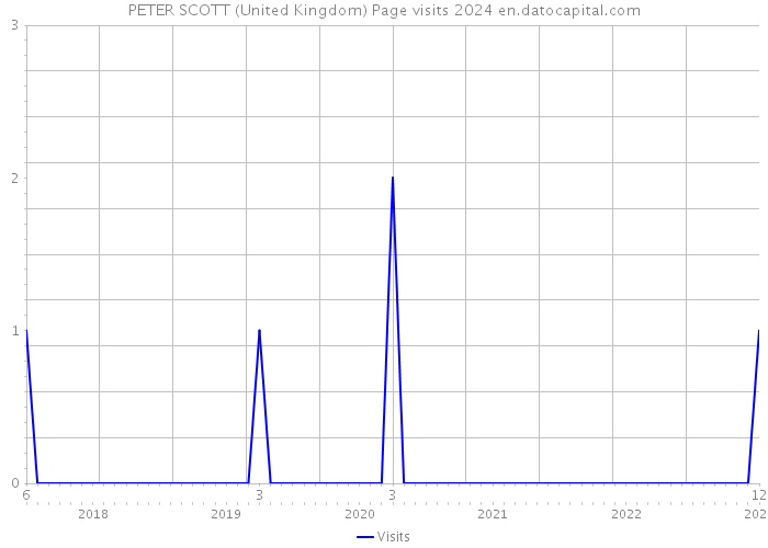 PETER SCOTT (United Kingdom) Page visits 2024 