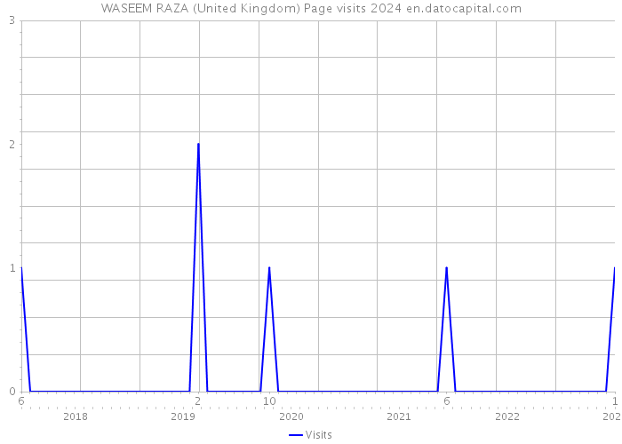 WASEEM RAZA (United Kingdom) Page visits 2024 