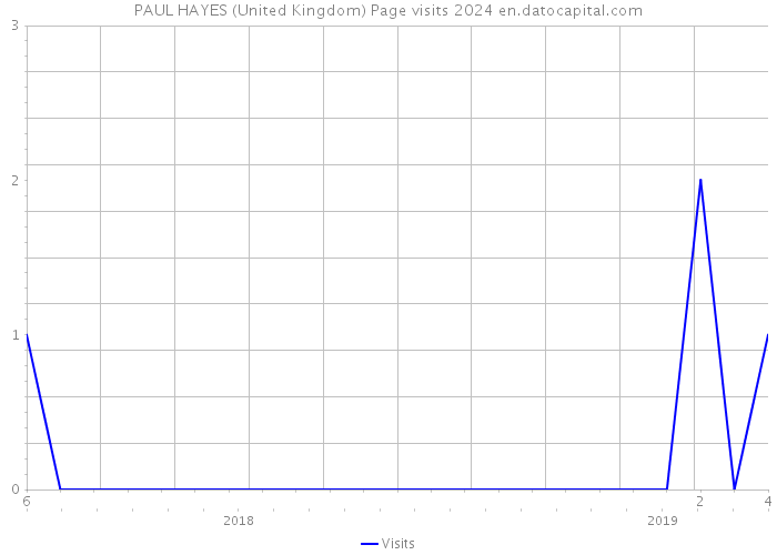 PAUL HAYES (United Kingdom) Page visits 2024 