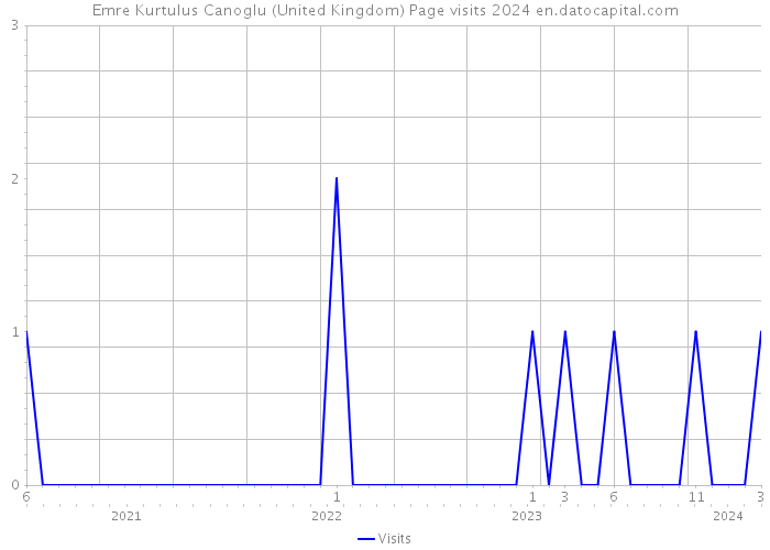 Emre Kurtulus Canoglu (United Kingdom) Page visits 2024 