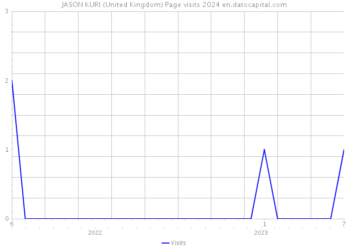 JASON KURI (United Kingdom) Page visits 2024 