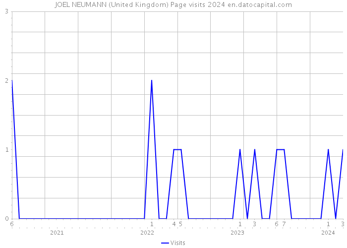 JOEL NEUMANN (United Kingdom) Page visits 2024 