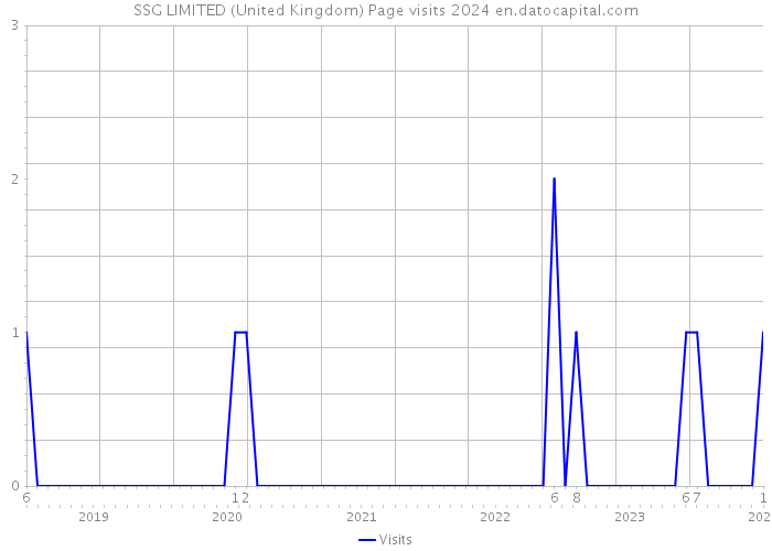 SSG LIMITED (United Kingdom) Page visits 2024 