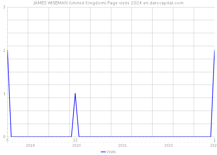 JAMES WISEMAN (United Kingdom) Page visits 2024 