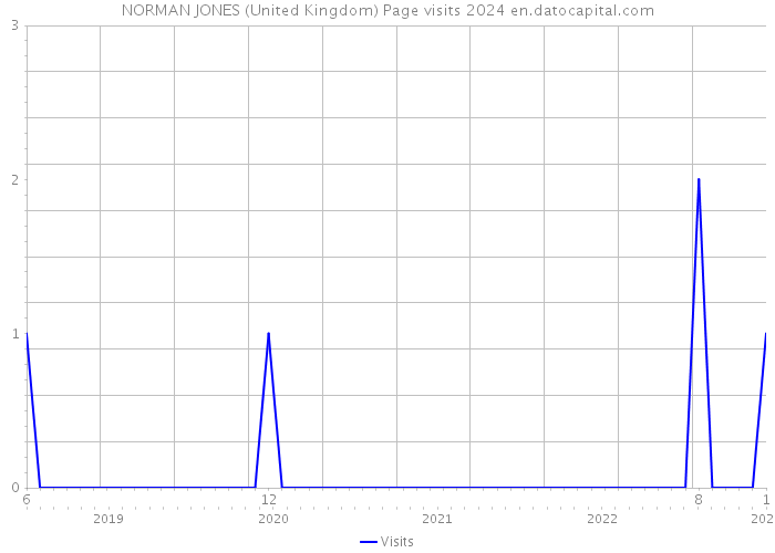 NORMAN JONES (United Kingdom) Page visits 2024 