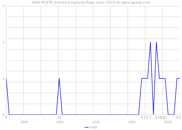 SAM HOSTE (United Kingdom) Page visits 2024 