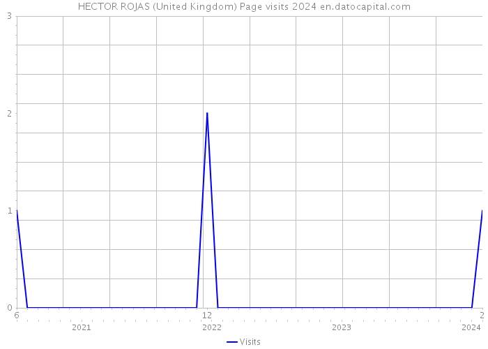HECTOR ROJAS (United Kingdom) Page visits 2024 