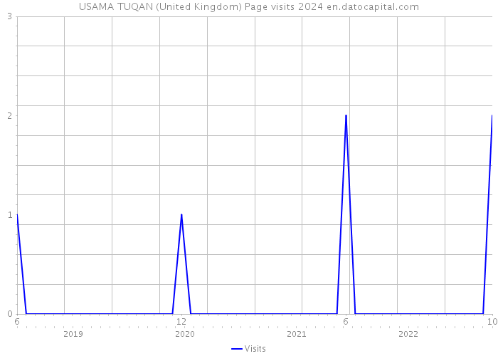USAMA TUQAN (United Kingdom) Page visits 2024 