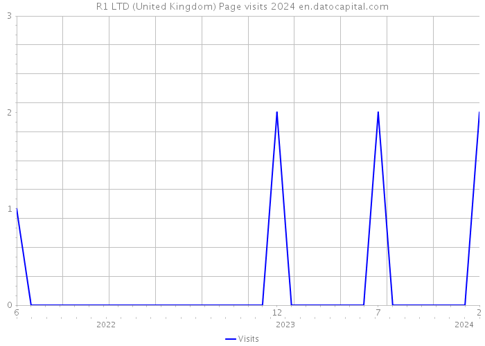 R1 LTD (United Kingdom) Page visits 2024 