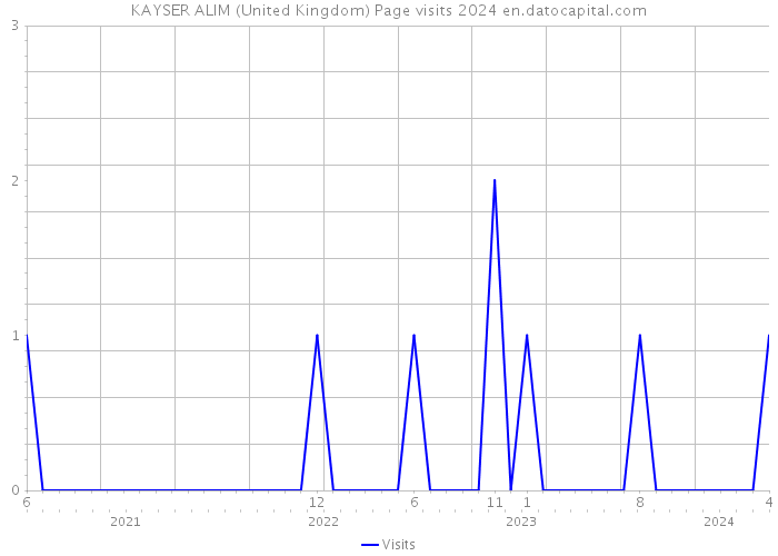 KAYSER ALIM (United Kingdom) Page visits 2024 
