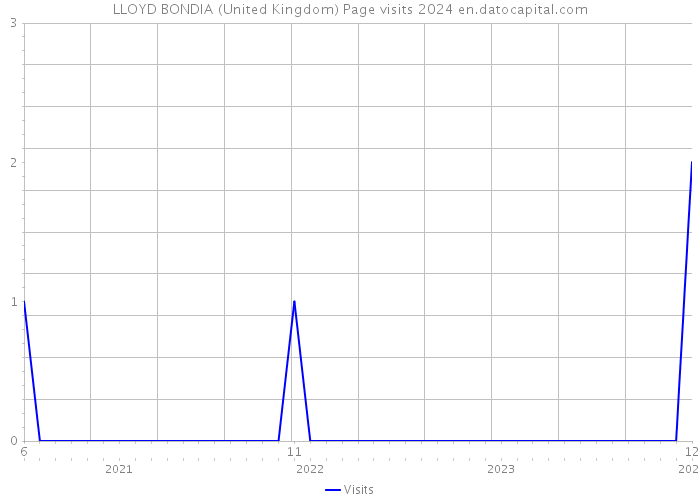 LLOYD BONDIA (United Kingdom) Page visits 2024 
