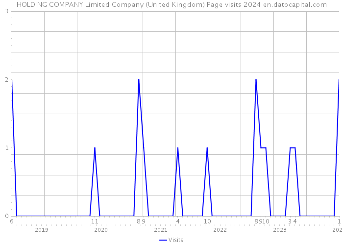 HOLDING COMPANY Limited Company (United Kingdom) Page visits 2024 