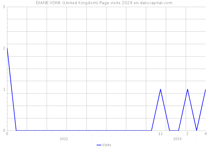 DIANE VONK (United Kingdom) Page visits 2024 