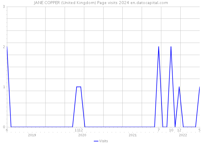 JANE COPPER (United Kingdom) Page visits 2024 