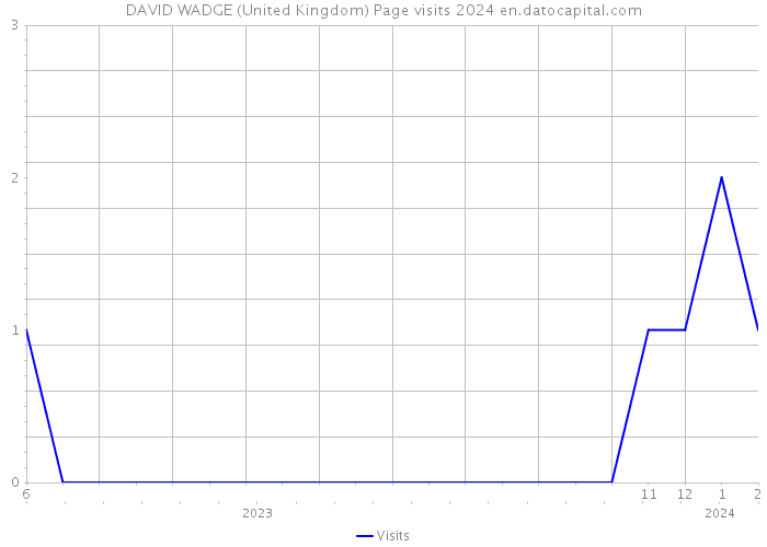 DAVID WADGE (United Kingdom) Page visits 2024 