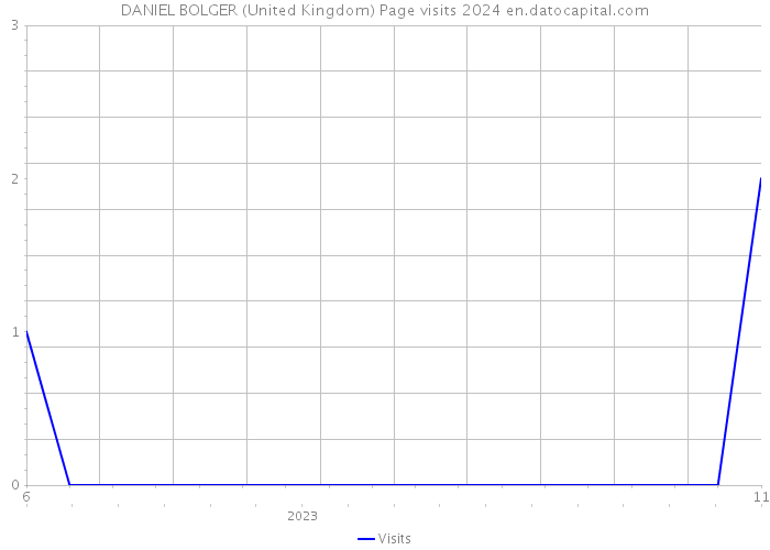 DANIEL BOLGER (United Kingdom) Page visits 2024 