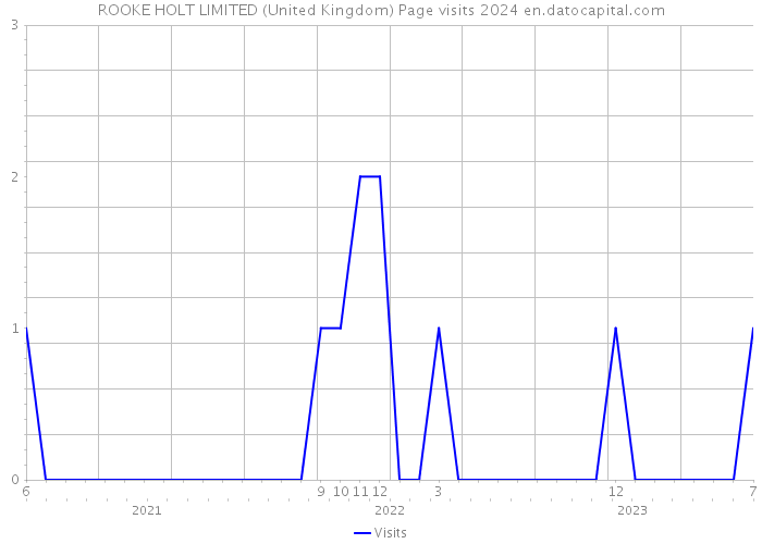 ROOKE HOLT LIMITED (United Kingdom) Page visits 2024 