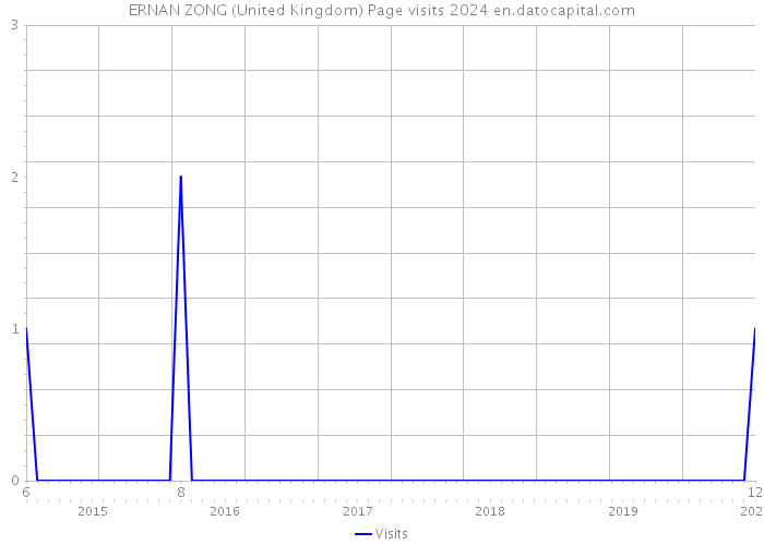 ERNAN ZONG (United Kingdom) Page visits 2024 