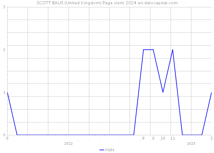 SCOTT BAUS (United Kingdom) Page visits 2024 