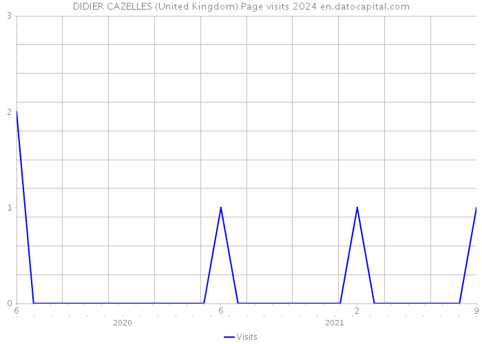 DIDIER CAZELLES (United Kingdom) Page visits 2024 