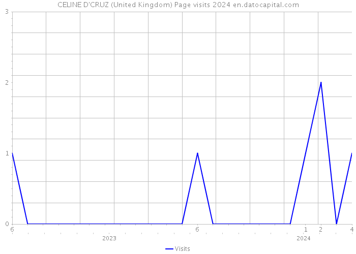 CELINE D'CRUZ (United Kingdom) Page visits 2024 