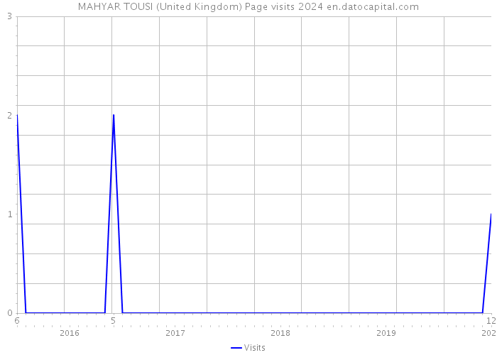 MAHYAR TOUSI (United Kingdom) Page visits 2024 