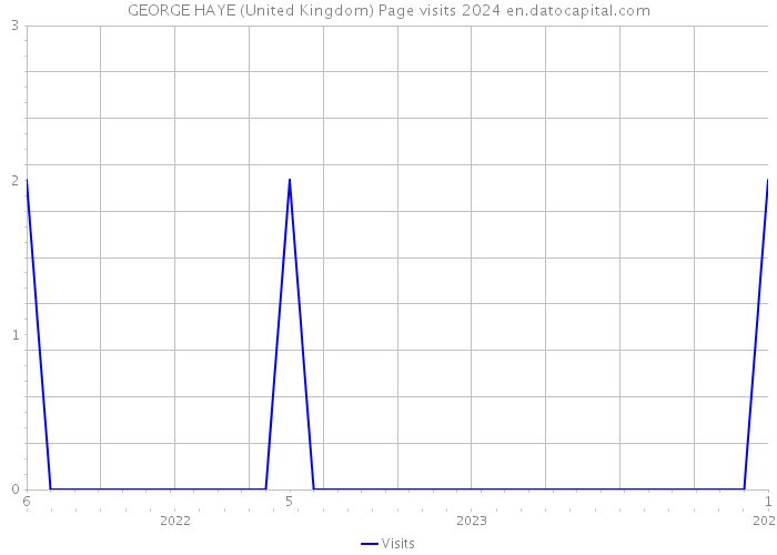 GEORGE HAYE (United Kingdom) Page visits 2024 