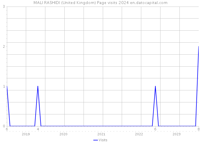 MALI RASHIDI (United Kingdom) Page visits 2024 